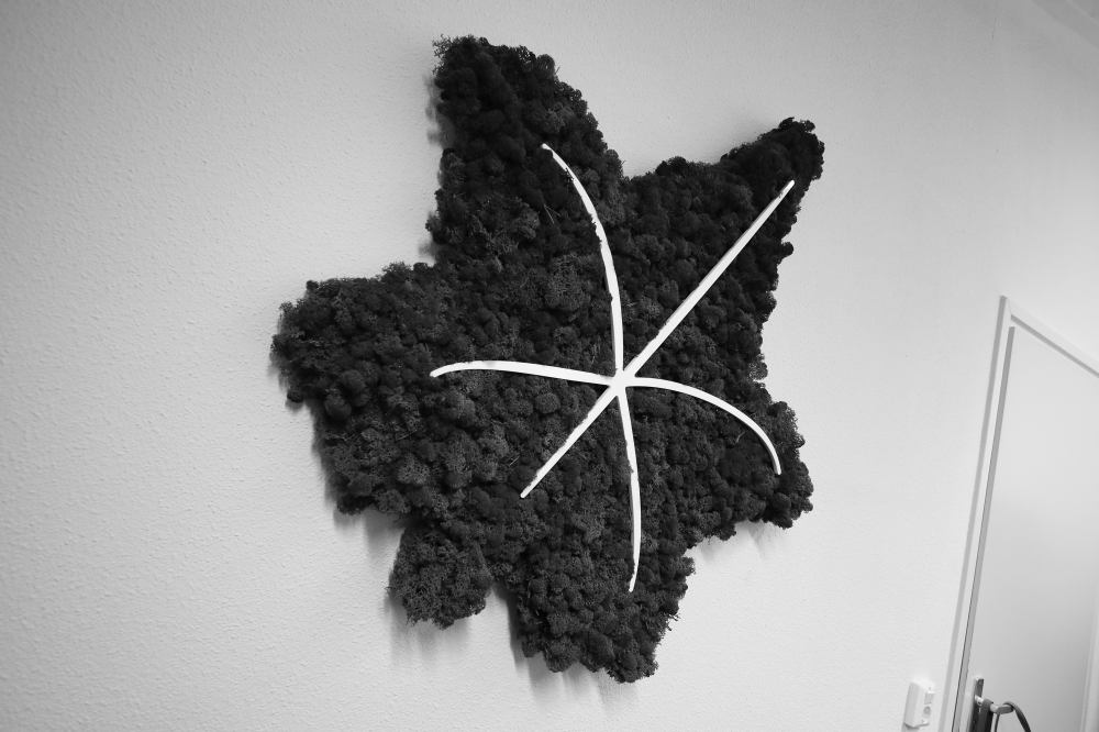 Test 3,93 wat is dit